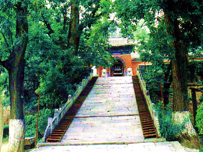 �t�����L���D