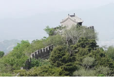 Ľ�����L���L���D